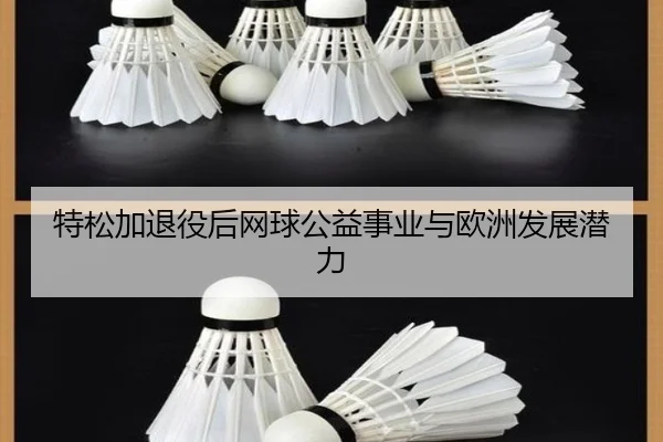 特松加退役后网球公益事业与欧洲发展潜力
